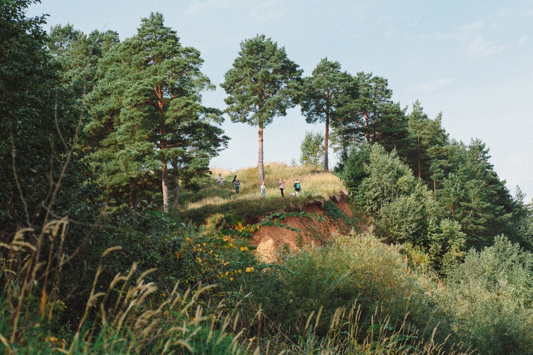 Fundamentals of Landscape Design